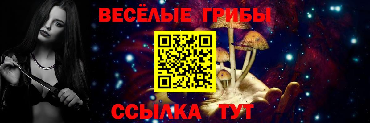 Псилоцибиновые грибы мухоморы  Галлюциногенные грибы Psilocybe  Вход с VPN  Зеленогорск 